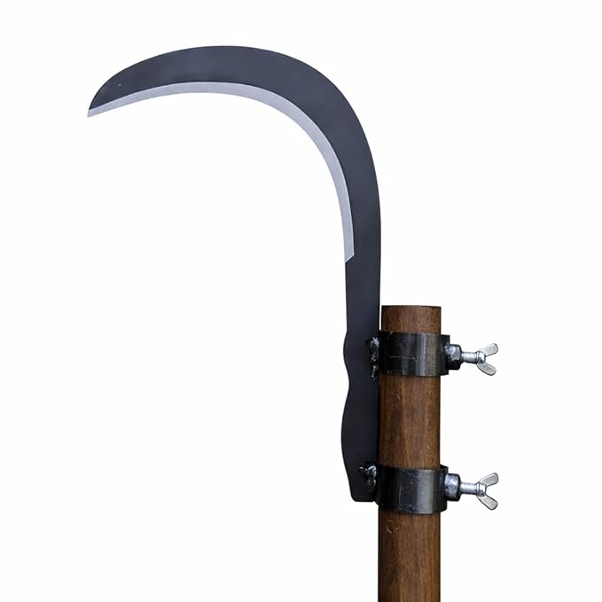 15648